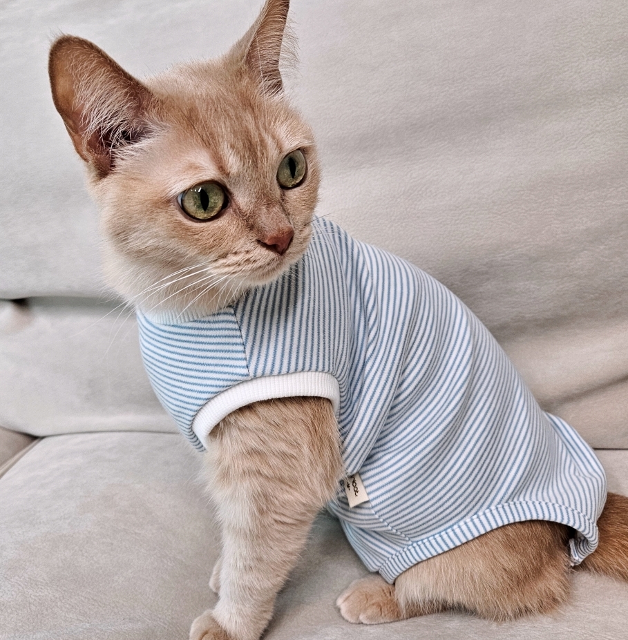 고양이옷 환묘복 오가닉코튼 오버그루밍방지 중성화옷 핑크 도트