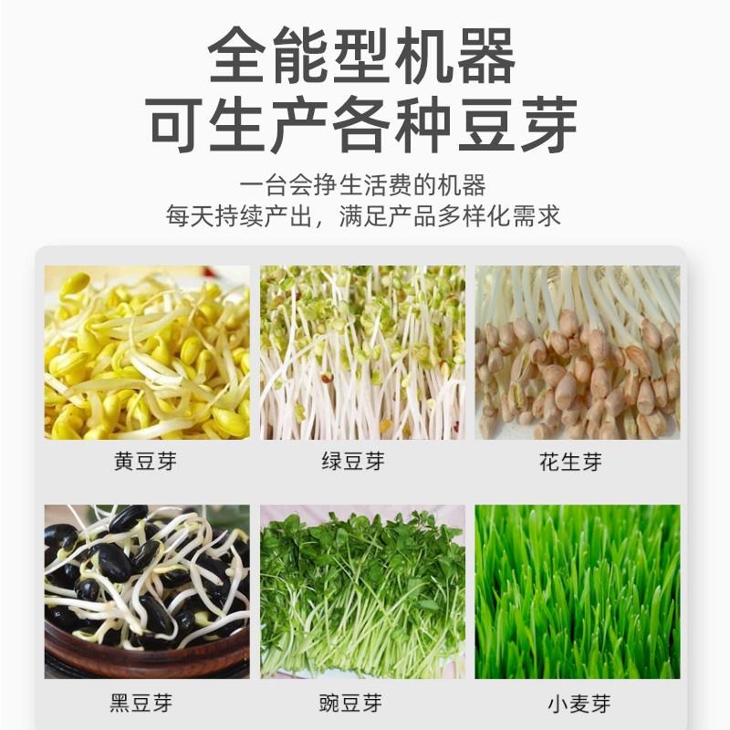 콩나물 발아 기 채소 녹두 온도 제어 시루 무순 재배기 UMI-2 20키로 - 상세 이미지 4