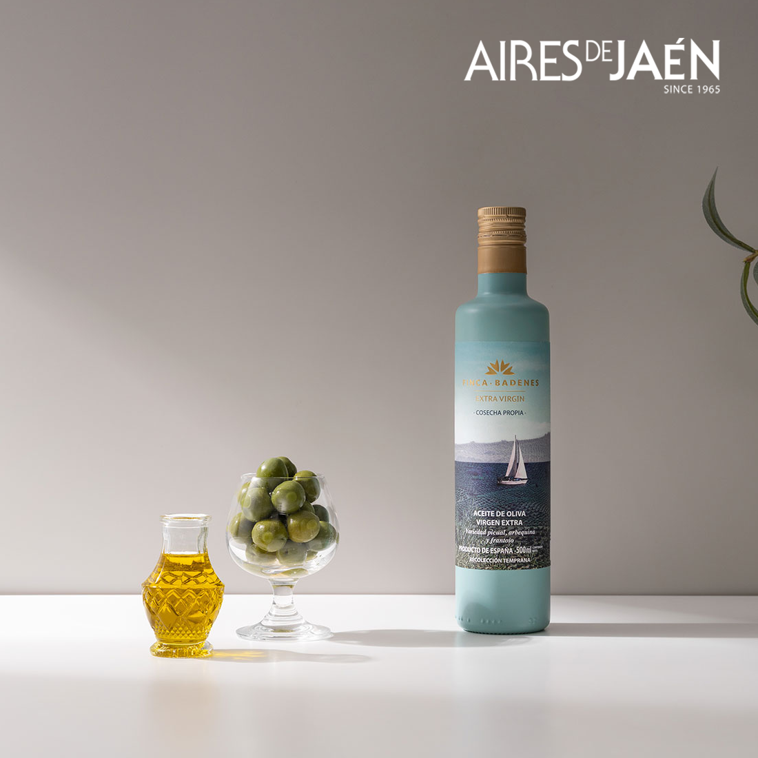 아이레스데하엔 핀카 바데네스 쿠파주 엑스트라버진 올리브오일 선물세트 500ml, 2병 - 상세 이미지 3