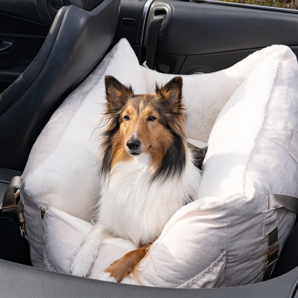 펫테일 셀러브리티 은나노 강아지 카시트 애견 차시트 리저브 대형 L