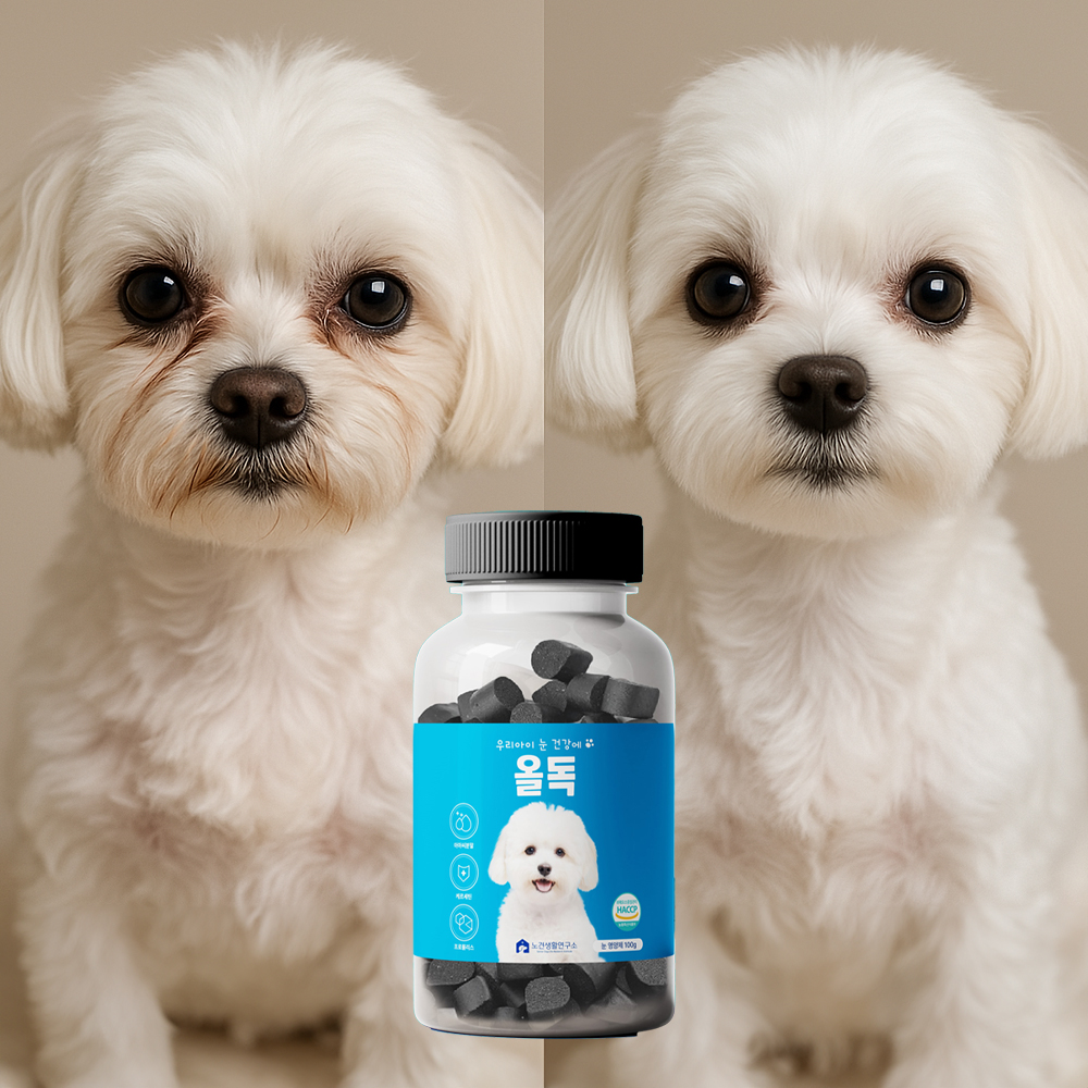 올독 강아지 눈 영양제 눈물자국 노령견 백내장 항산화 루테인 항산화제 눈건강, 100g, 1개