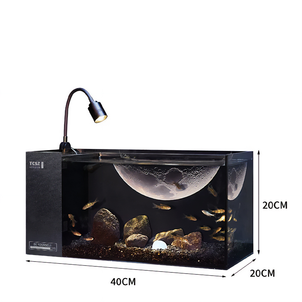 어항 세트 구피 베타 키우기 물고기 수조 유리 수족관