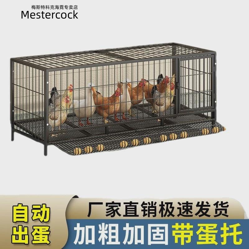 철제 닭장 메추리 사육장 애 무새 실외 비둘기 병아리집 패키지2(트레이포함) 100x50x60 - 상세 이미지 5