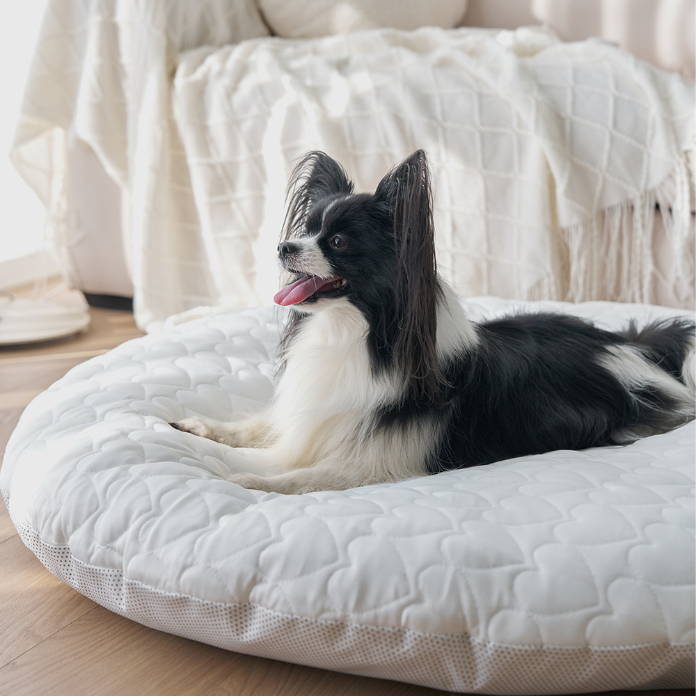 히말라야 듀라론 냉감 강아지 펫방석 반려동물 고양이 여름 사계절 쿠션 원형 소형 60cm