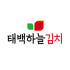 태백하늘김치 로고