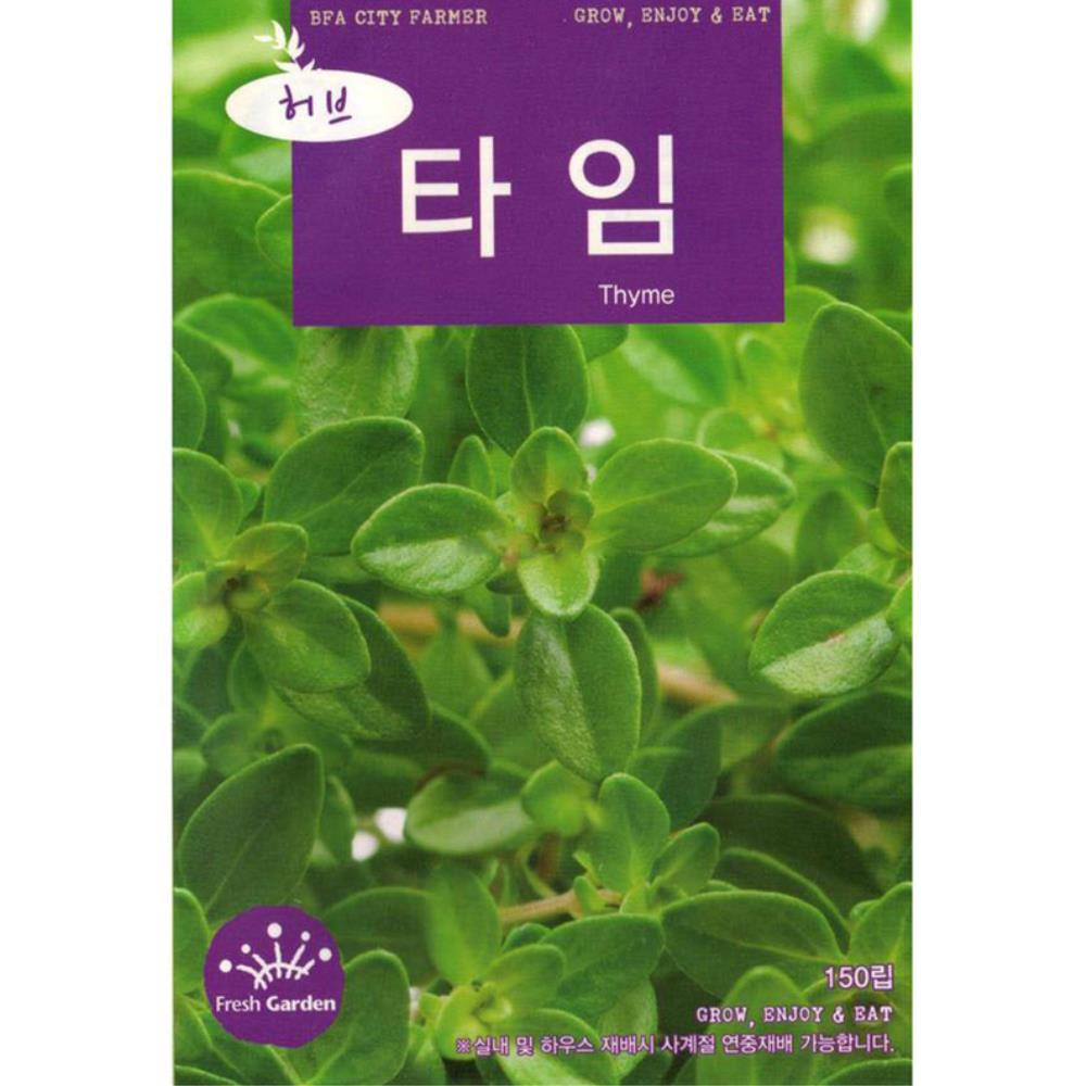 향채소 thyme 씨앗 허브 타임 종자 10봉 씨앗재배 : DIY 홈가드닝