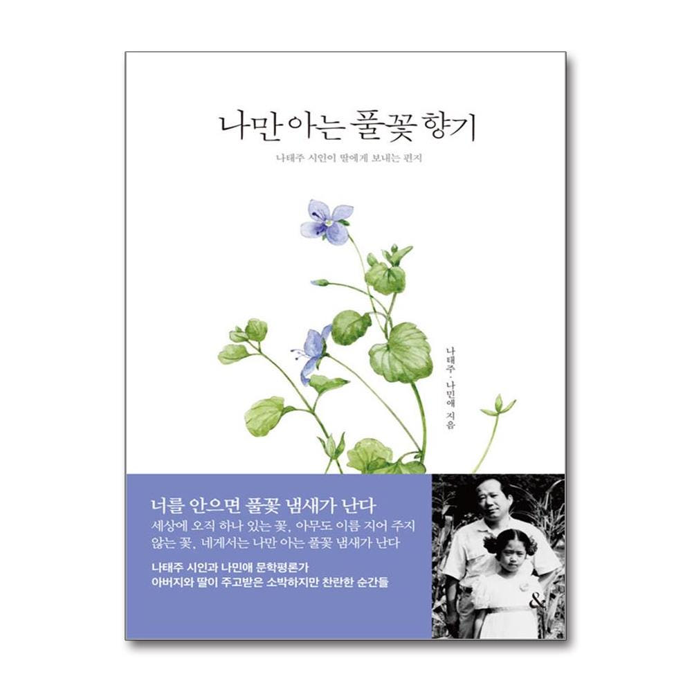 웅진북센 나만 아는 풀꽃 향기 - 나태주 시인이 딸에게 보내는 편지