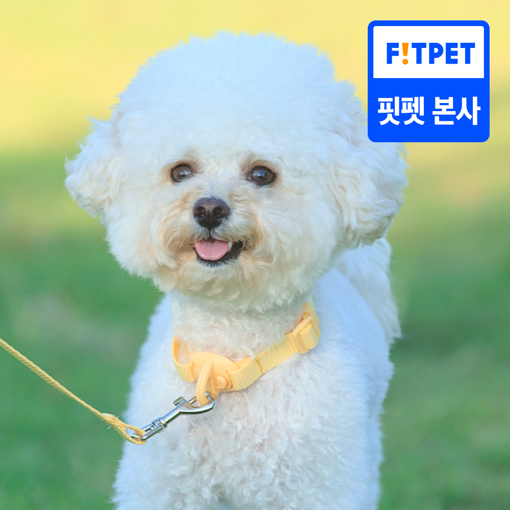 헤이테일 에어워크 가벼운 목줄 초경량  산책 소형견 중형견 순면