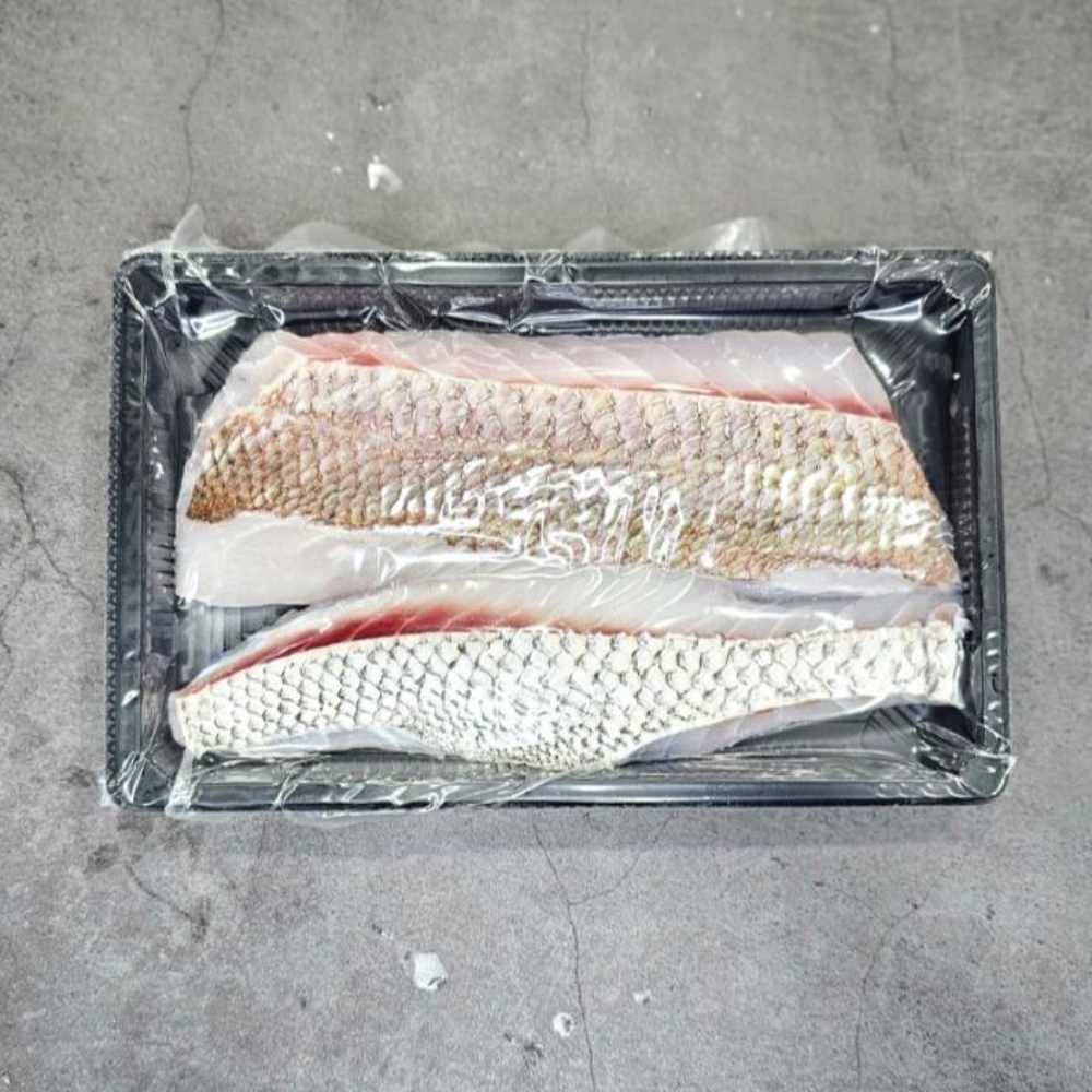 참돔필렛 제철회 도미회 택배 횟감 자연산 400g, 1개 - 상세 이미지 4