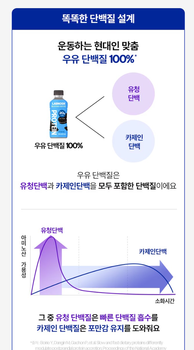 랩노쉬 프로틴 드링크 고단백 24개 초코맛 딸기 쿠앤크맛 바나나 코스트코 이미지 8
