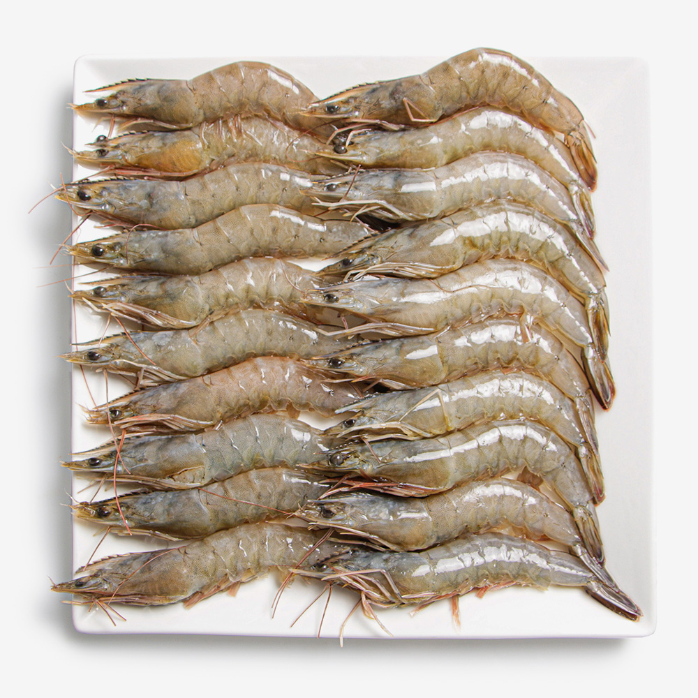 냉동 흰다리새우 500g (15마리 20마리) - 상세 이미지 2