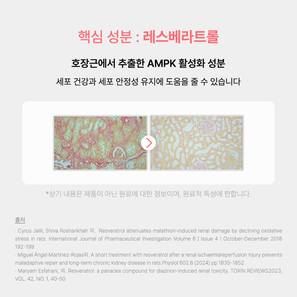 신부전 고양이 인텐시브 신장 항산화제 항노화 영양제 60캡슐, 1개 - 상세 이미지 5