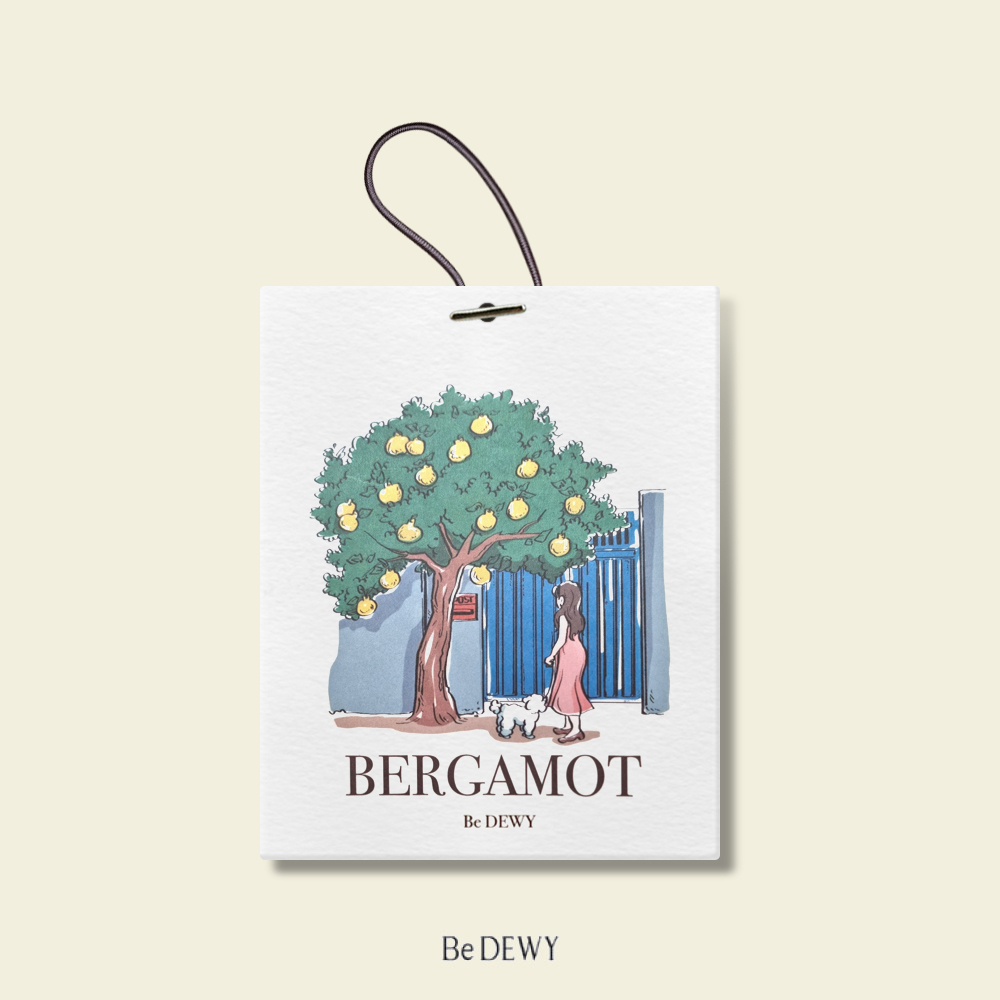 비듀이 퍼퓸 샤쉐 40g 7종 실내 디퓨저 방향제 편백나무 호텔 사무실 히노끼 대용량 집