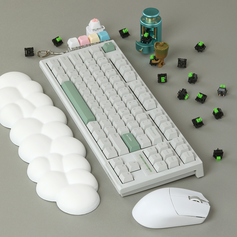 SPM PL87C PBT 몽돌 텐키리스 게이밍 기계식 키보드