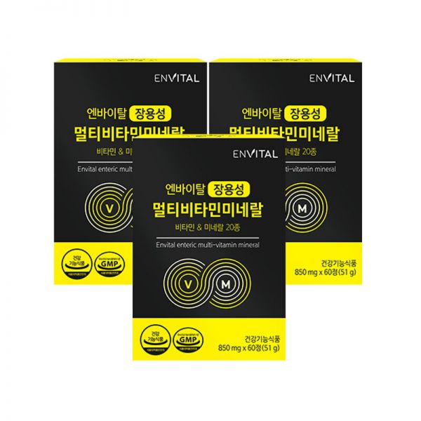 엔바이탈 장용성 멀티비타민미네랄 850mg X 60정 3박스 : modern8064