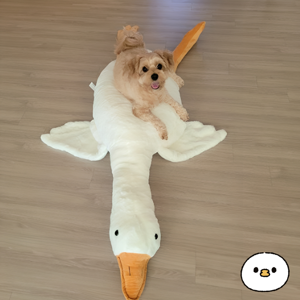 상품 이미지 3