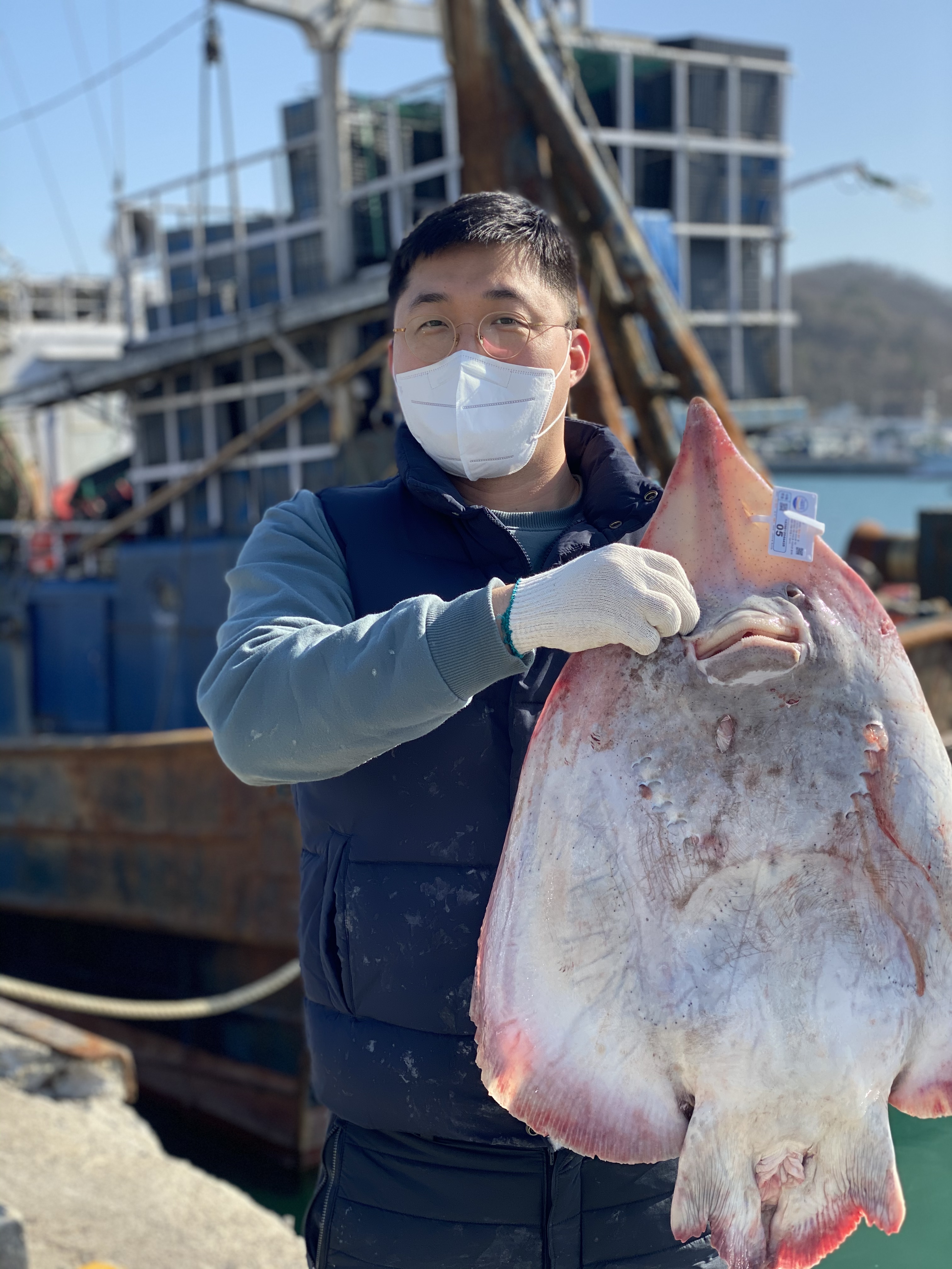 최상급 국산 목포 흑산도 홍어 삭힌 저온 숙성 홍어회 홍어애 삼합 산지직송 - 상품 이미지