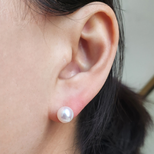 14k 아코야 해수 진주귀걸이 8.5mm~9mm 클래식 침형 스터드진주귀고리
