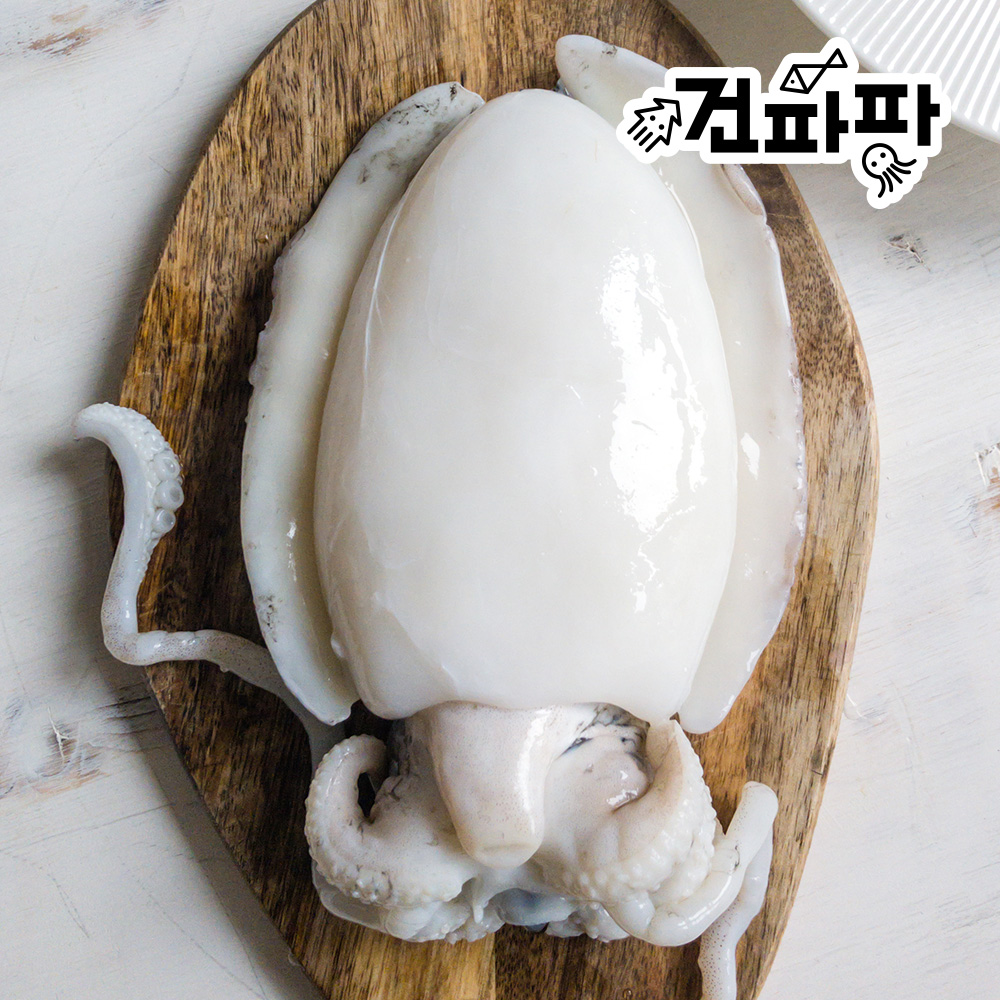 깨끗하게 손질된 냉동 갑오징어 특대 1kg (약 2미-3미) 이미지 3