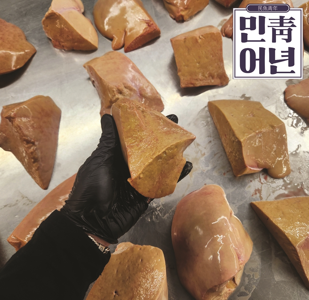 민어청년 노랑가오리애, 황가오리애 회, 노랑가오리애 맛, 가오리애 후기, 신선한 노랑가오리