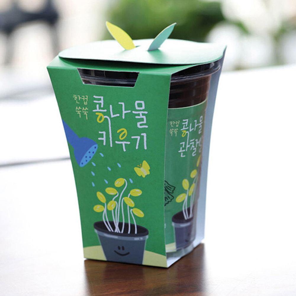 집에서야채키우기 실내 채소 기르기 콩나물 키우기 키트 수경재배 - 상세 이미지 2
