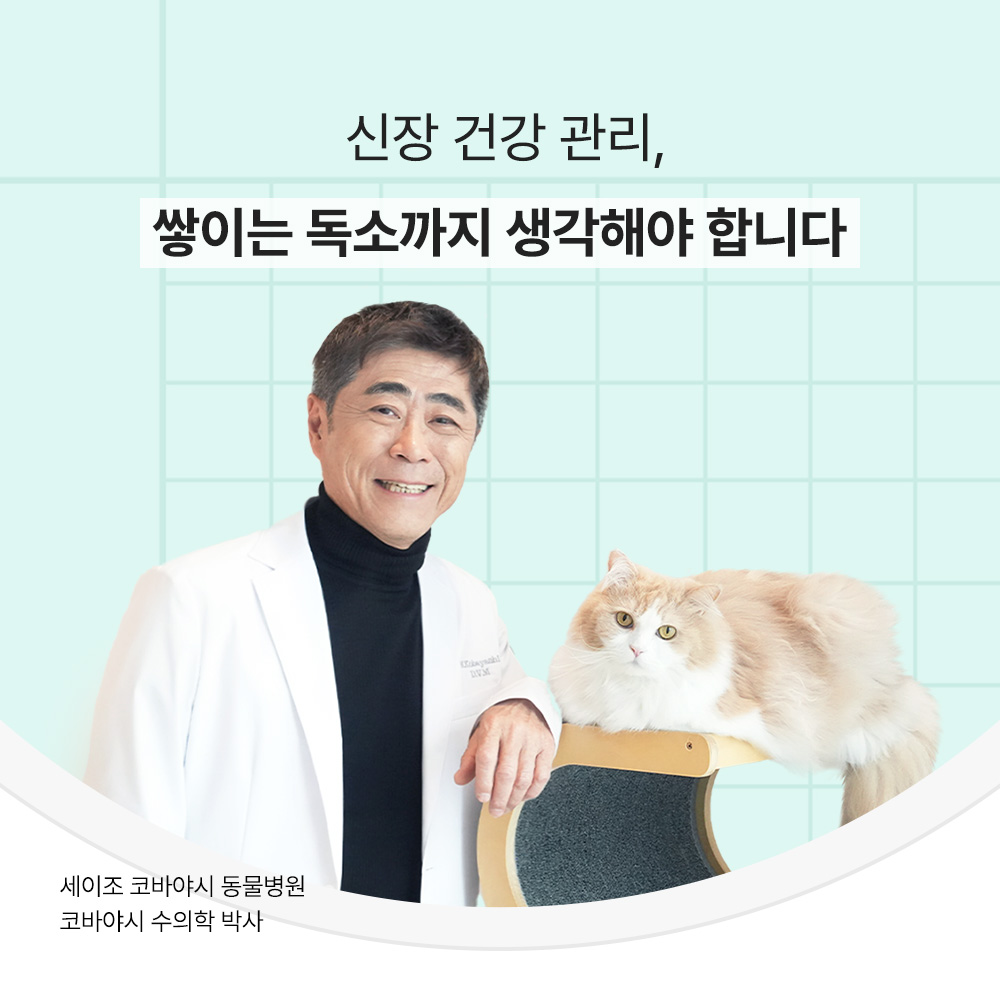 신부전 고양이 유산균 신장 영양제 요독소 IBD 관리 프로바이오틱스 60캡슐, 1개 - 상세 이미지 2
