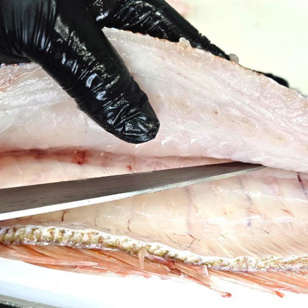 참돔필렛 제철회 도미회 택배 횟감 자연산 400g, 1개 - 상세 이미지 3
