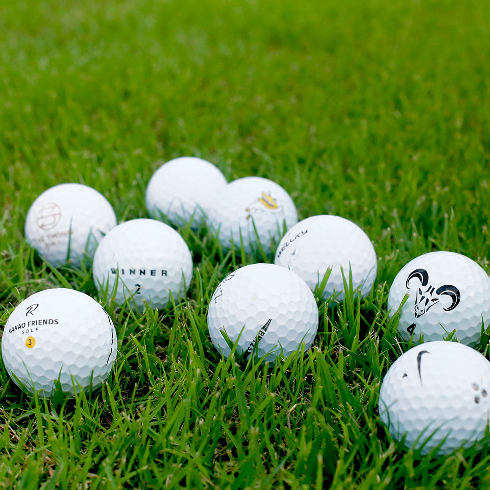 [중고] 로스트볼 A급 화이트 10구 골프 연습 라운딩 골프공