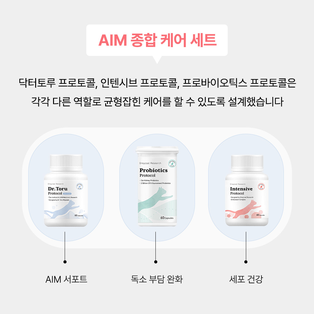 신부전 고양이 인텐시브 신장 항산화제 항노화 영양제 60캡슐, 5개 이미지 7