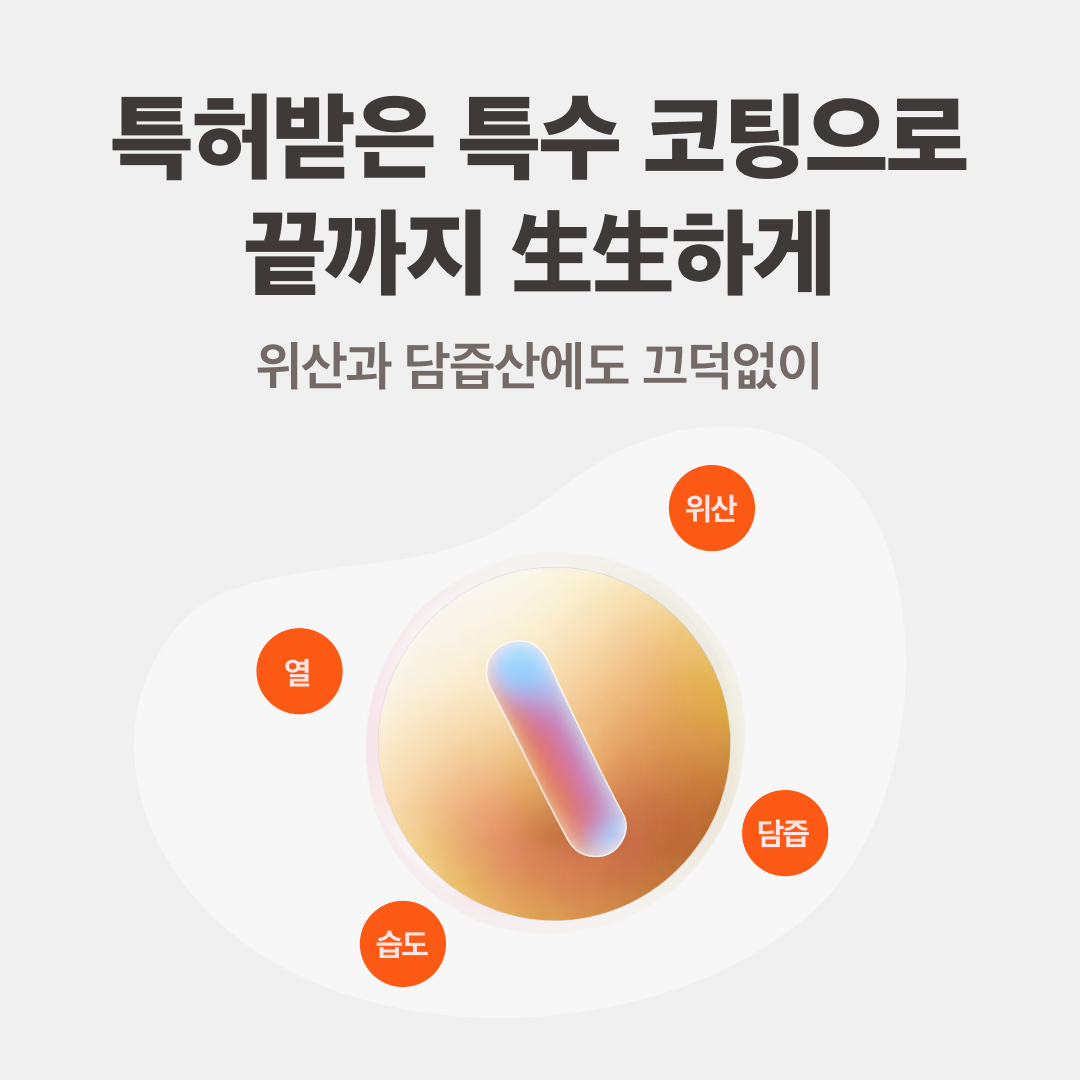 베러웨러 본질 프로바이오틱스 여성 질 유산균 특허 유산균 위산 내성 강한 30캡슐, 2개 - 상세 이미지 5