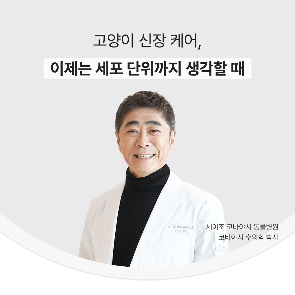 신부전 고양이 인텐시브 신장 항산화제 항노화 영양제 60캡슐, 1개 - 상세 이미지 2