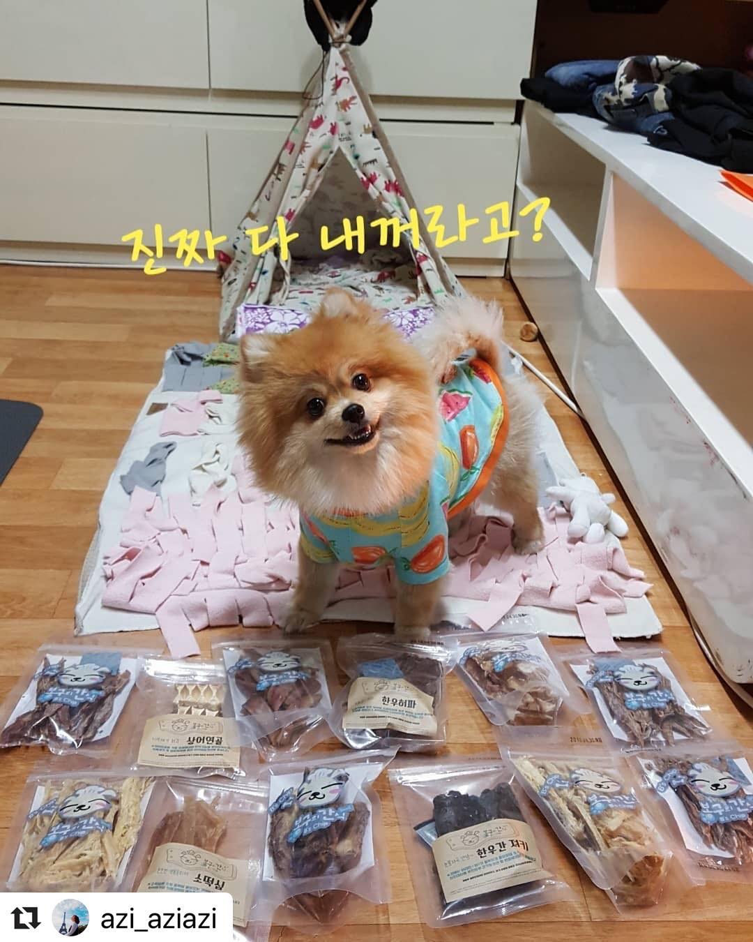 봉구의간식 강아지 반려견 소떡심 소힘줄 애견 개껌 천연 보양식 수제간식 소떡심껌 35g 이미지 8