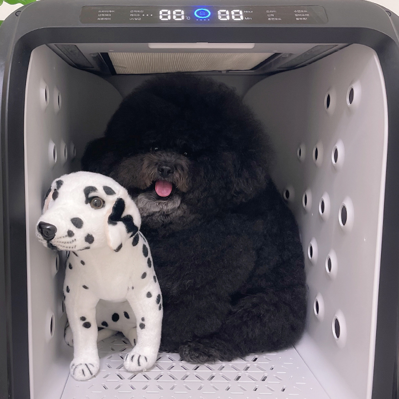 퐁고 펫드라이룸 케어수 샤워 강아지 고양이 털말리기 애견 애묘 건조기 중형견케어 - 상세 이미지 3