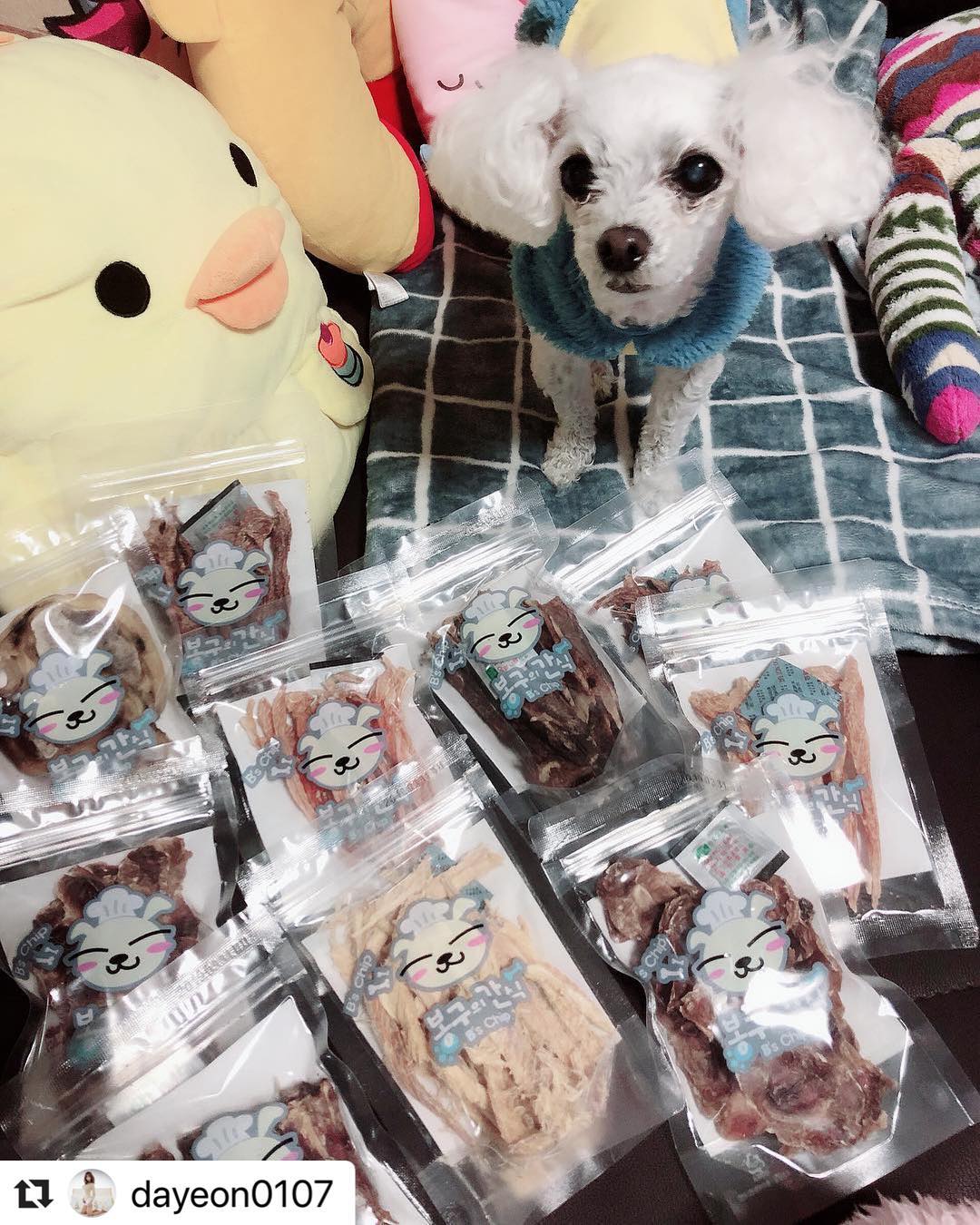봉구의간식 강아지 고양이 반려견 저지방 고단백 펫푸드 닭근위 애견 애묘 천연 수제간식 말랑닭근위져키 50g 이미지 8