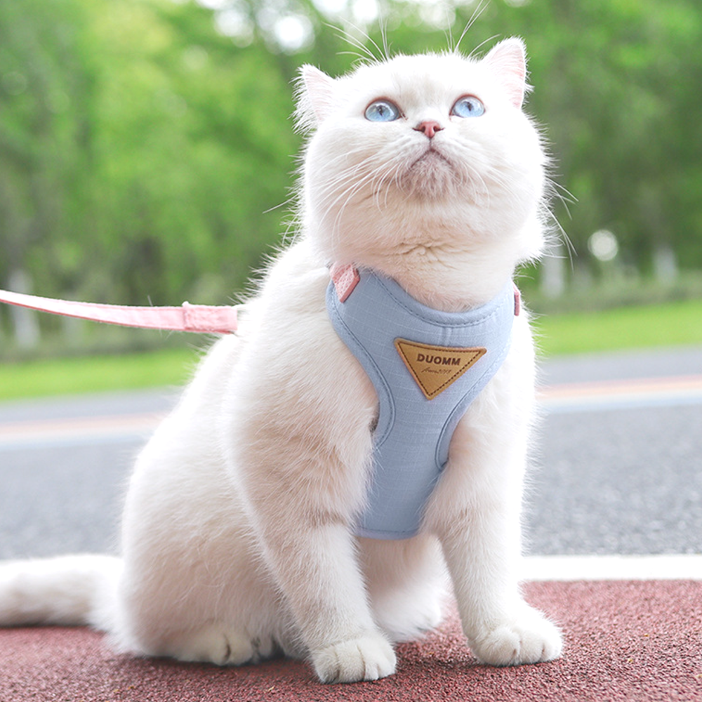 고양이 하네스 가슴줄 목줄 고양이전용 산책줄 파스텔 - 상품 이미지