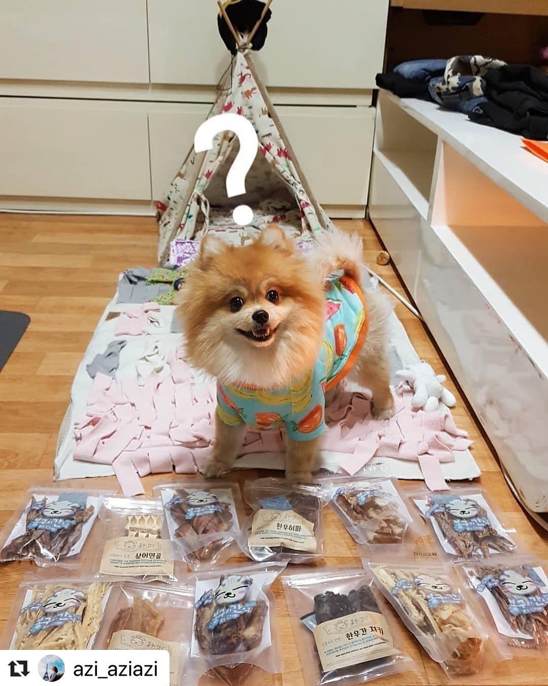 봉구의간식 강아지 고양이 반려견 한우간 펫푸드 애견 애묘 천연 수제간식 한우간져키 50g 이미지 7
