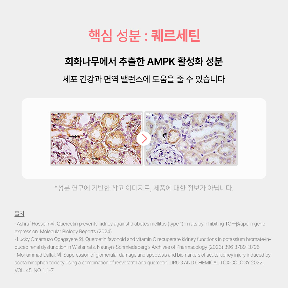 신부전 고양이 인텐시브 신장 항산화제 항노화 영양제 60캡슐, 5개 이미지 6