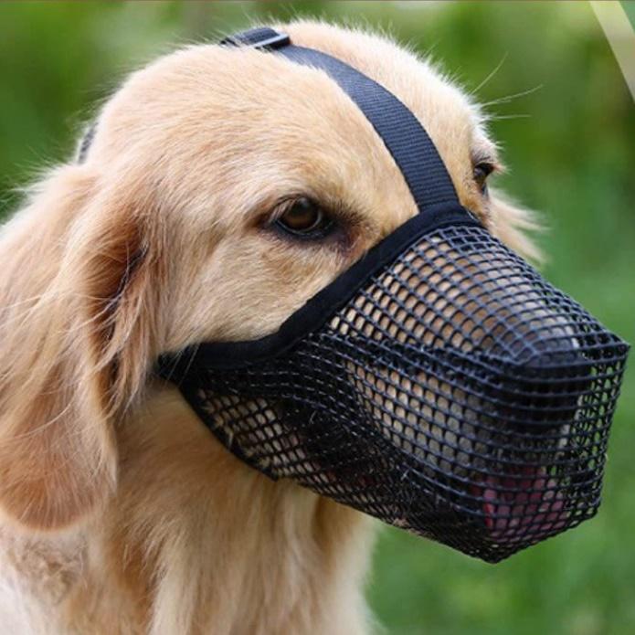 여름 강아지매쉬 입 마개 통풍 마스크 산책입마개 버클