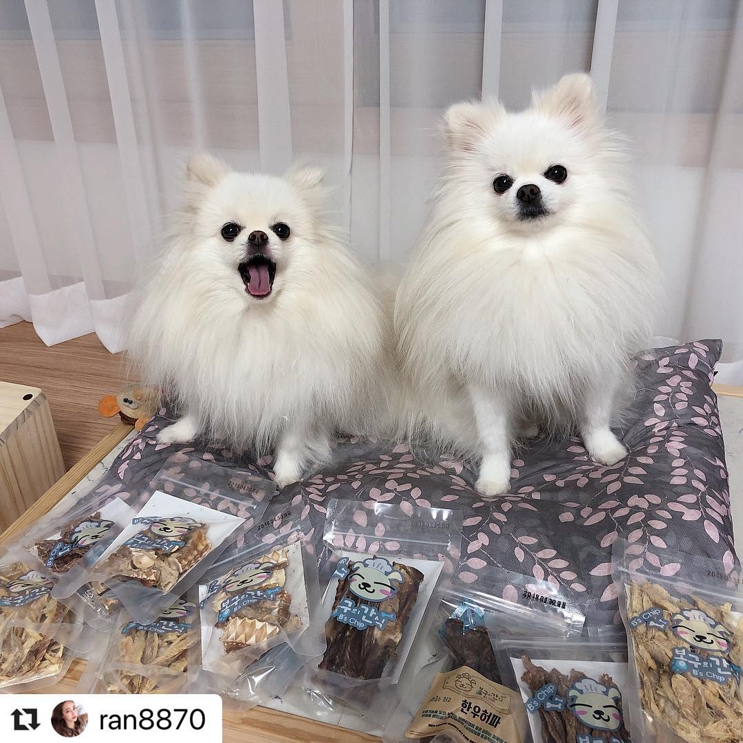 봉구의간식 강아지 고양이 반려견 한우간 펫푸드 애견 애묘 천연 수제간식 한우간져키 50g 이미지 8