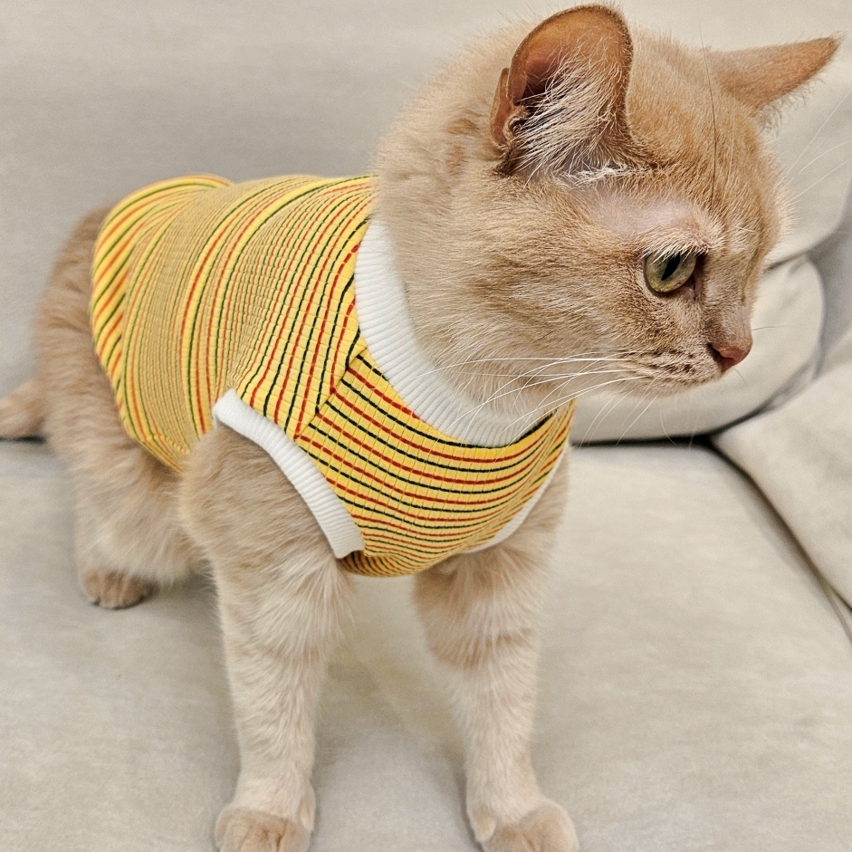 고양이 옷 민소매 숏기장 티셔츠 크롭티 골지 스트라이프 노랑 - 메인 이미지