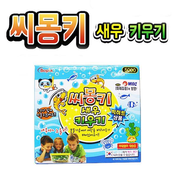 씨몽키 새우 키우기 새우 정서발달 두뇌개발 : 알지온컴퍼니