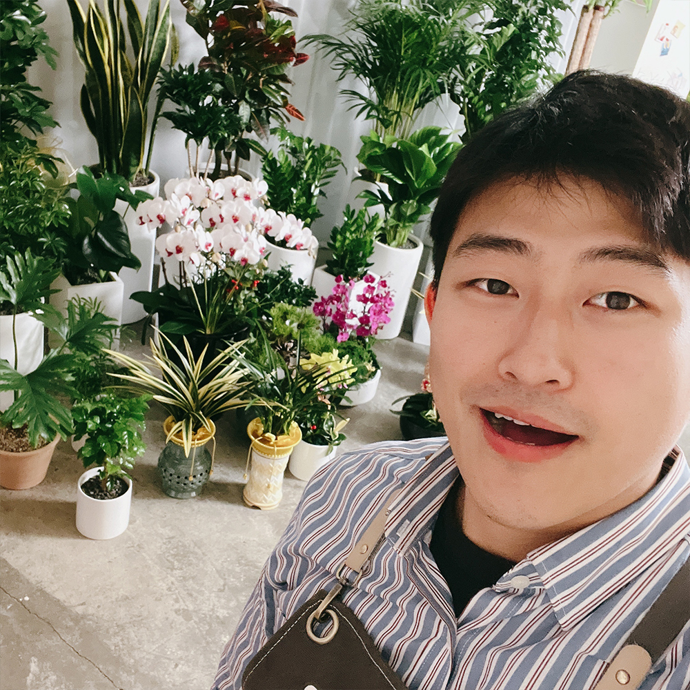 경기 남양주 축하화환 근조화환 금전수 개업화분 전국당일꽃배달 축하 선물 결혼식 장례식장 - 상품 이미지