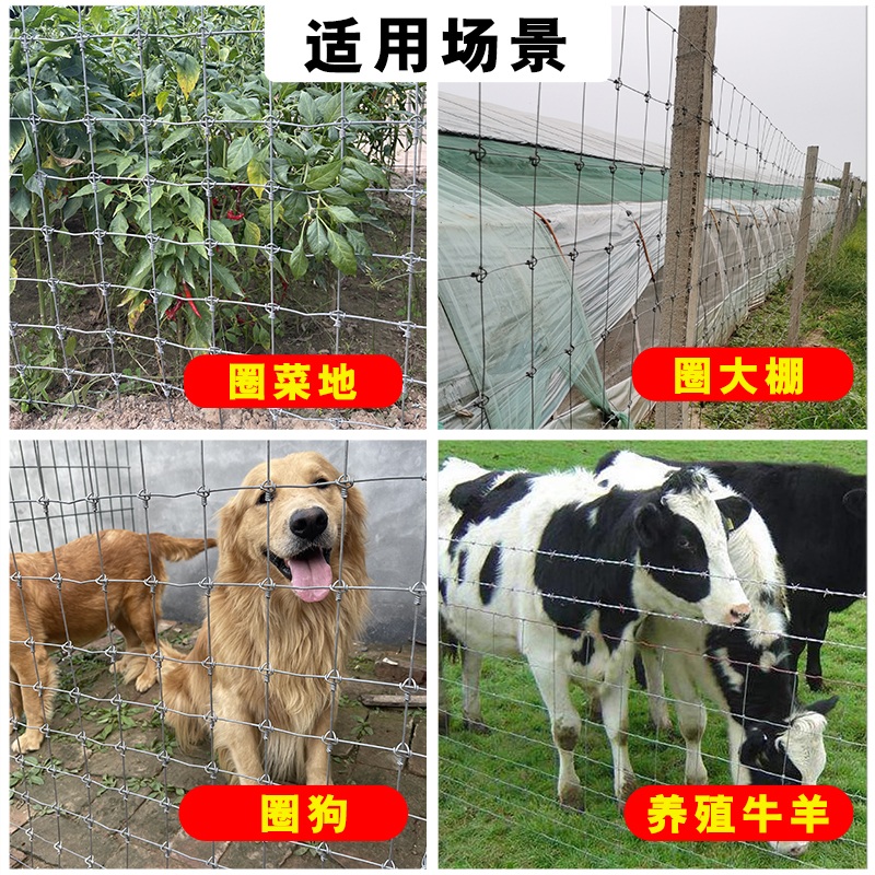 철망 펜스 울타리 사육장 철조망 야생동물 휀스 닭장 - 상세 이미지 5
