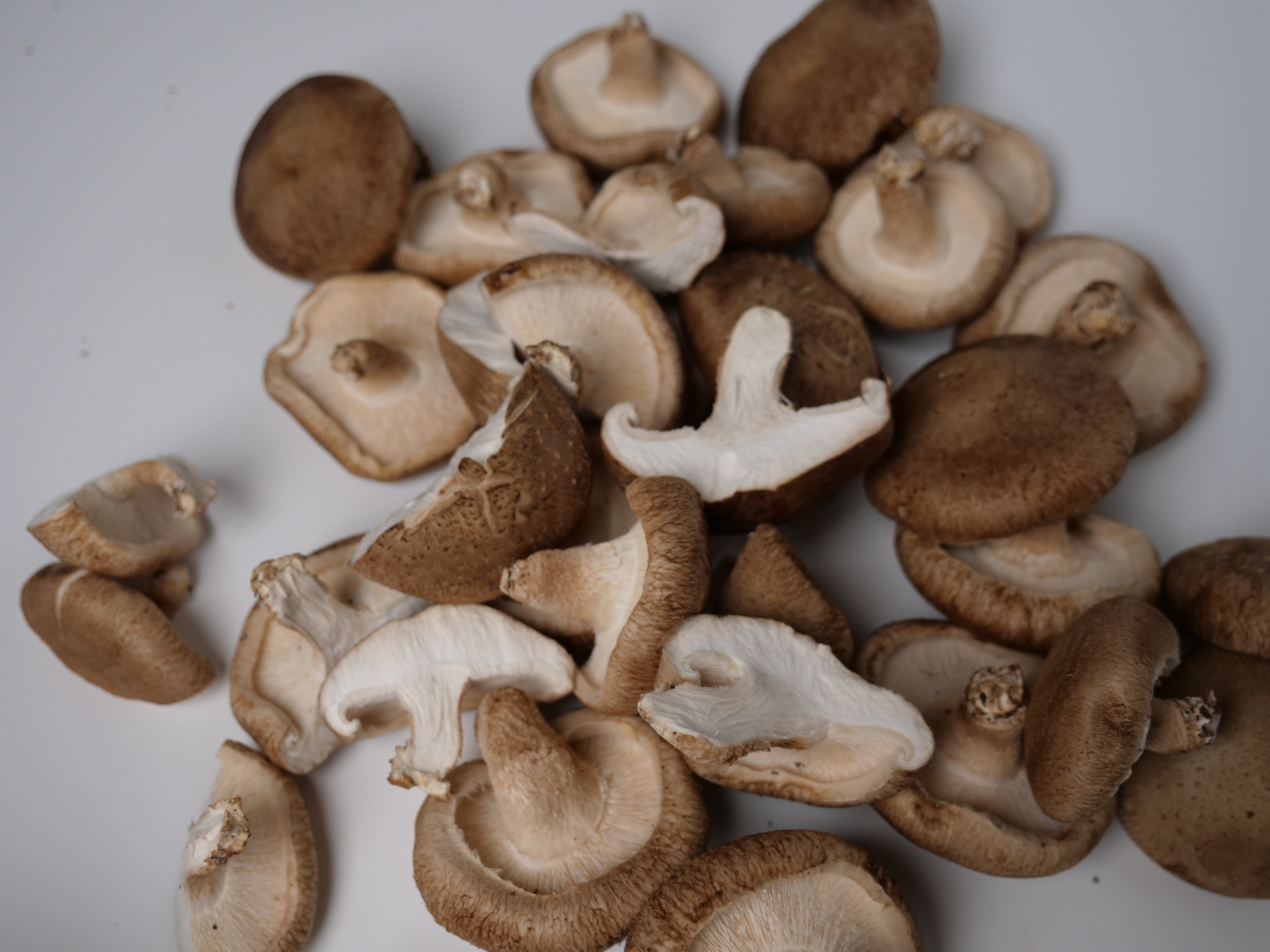 표고버섯 1kg 이미지 8