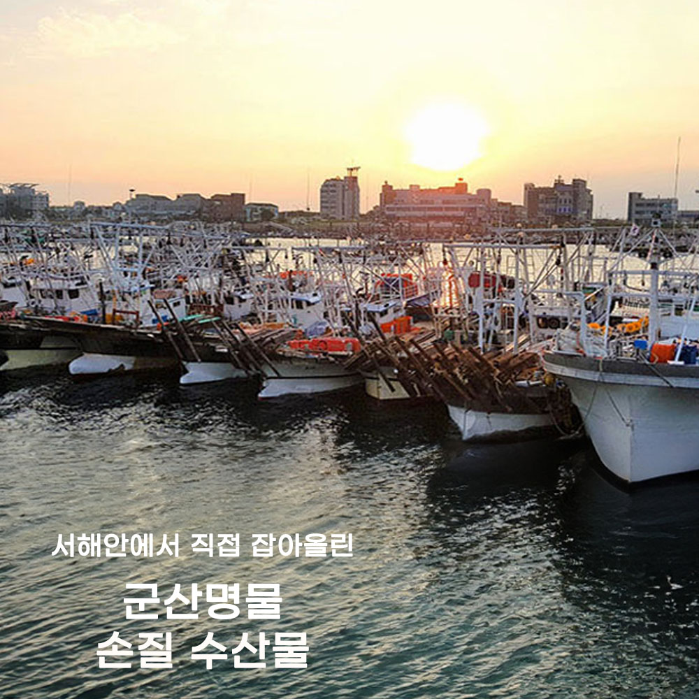 국내산 특대 간고등어 자반고등어 손질 냉동 맛있는 필렛 저염 고등어 300g - 상세 이미지 5