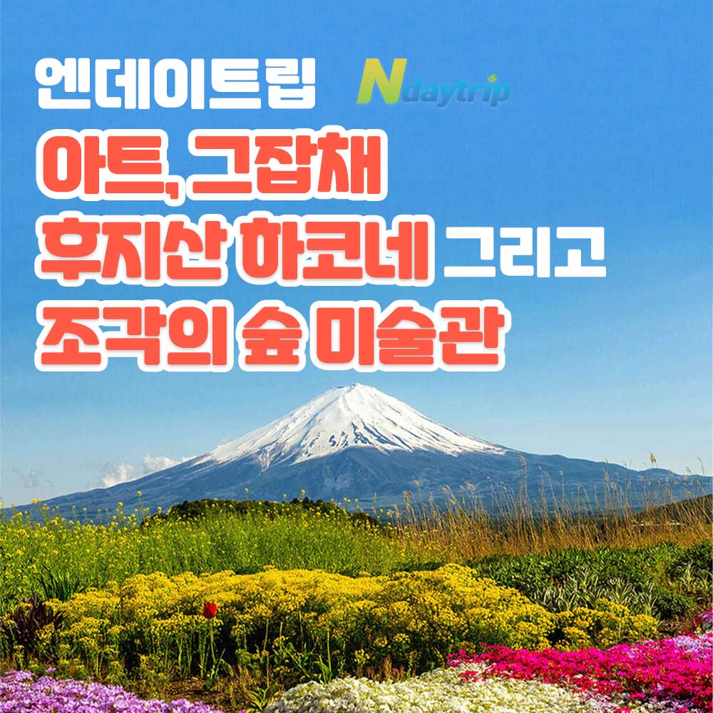 [아트,그 잡채] 후지산 하코네 그리고 조각의 숲 미술관 도쿄 일일버스투어 한국인 가이드 - 상품 이미지
