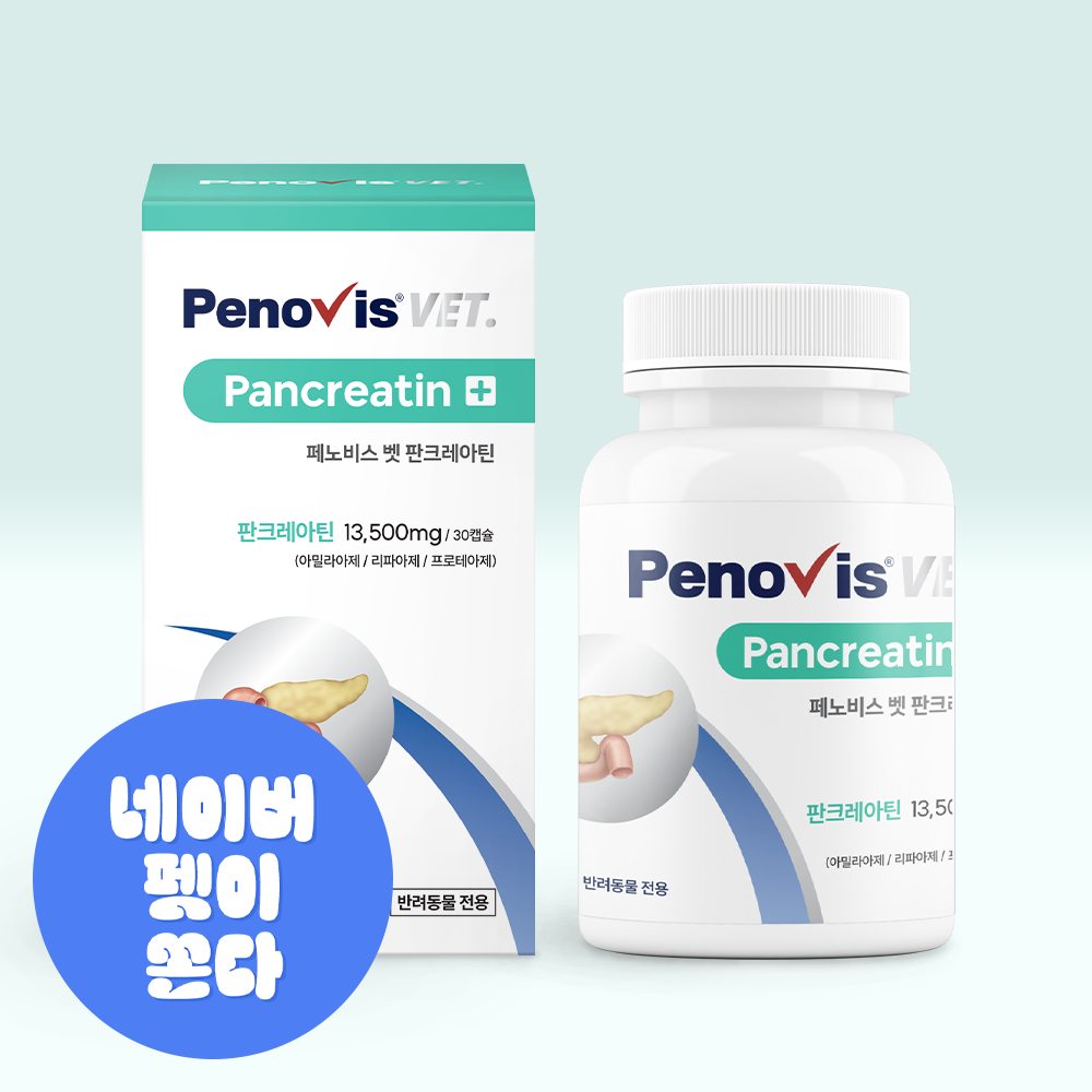 페노비스 고양이 강아지 췌장 보조제 소화 효소 소화불량 캡슐 췌장영양제 판크레아틴