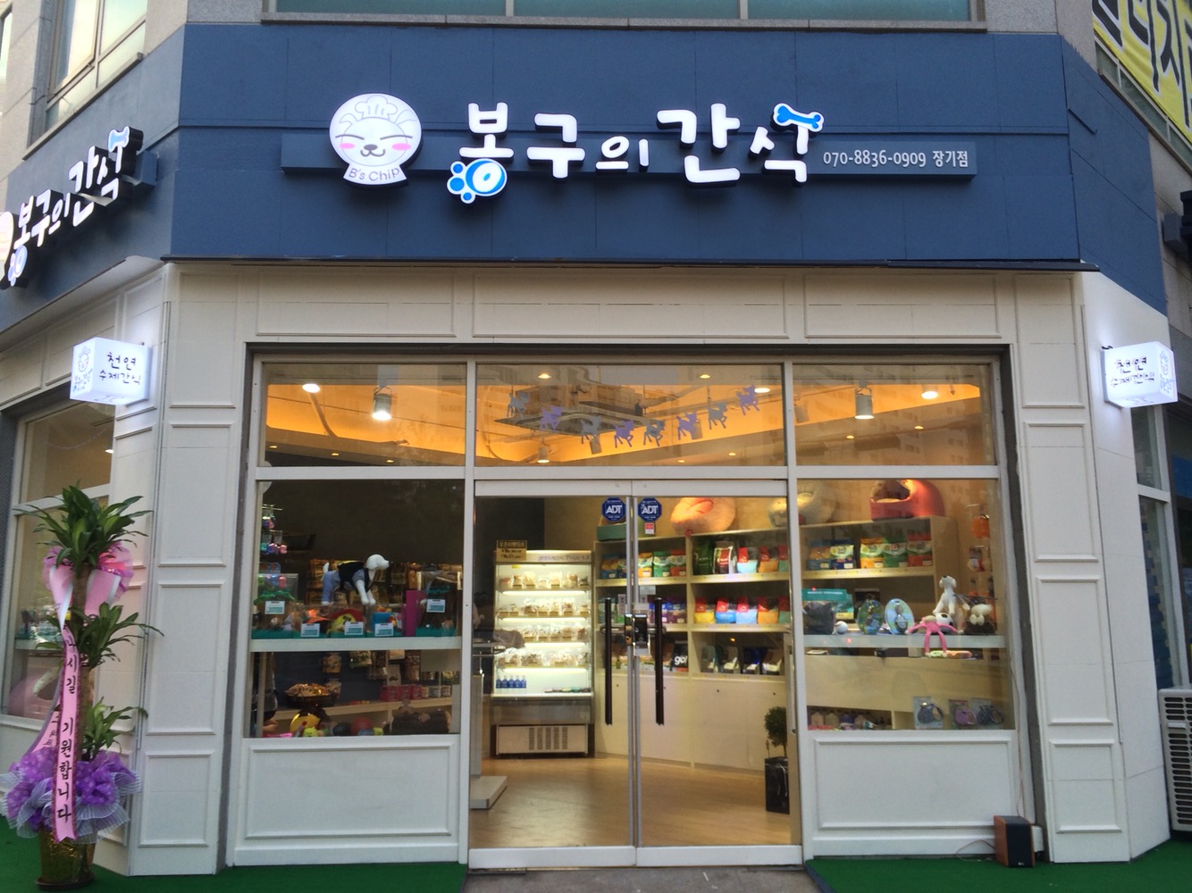봉구의간식 강아지 반려견 애견 개껌 천연 보양식 수제간식 우족껌 70g 이미지 6