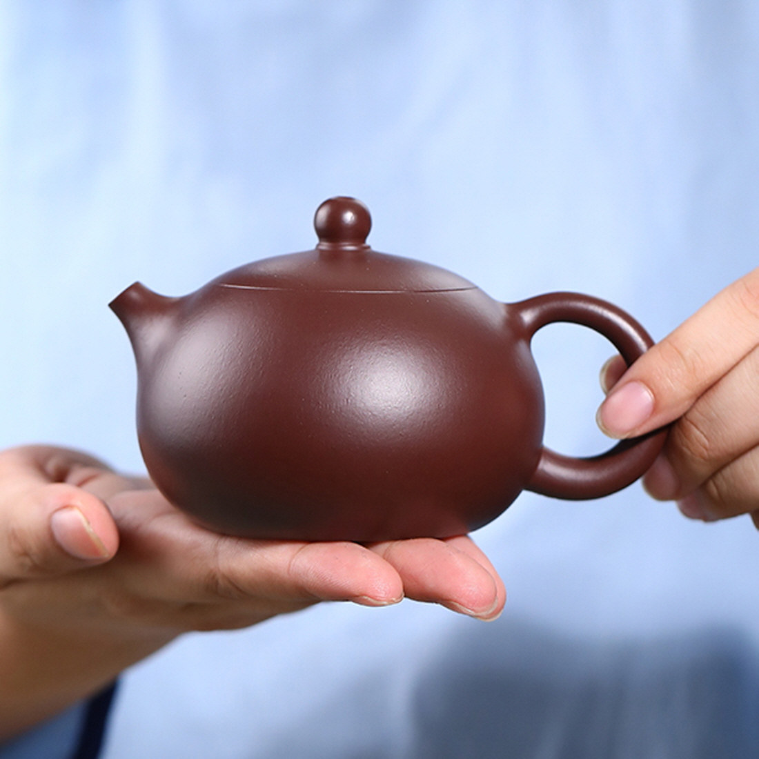 [자사호] 더큰솔 이싱 원광 자니 주니 서시호 자사호 보이차 공부차 다도 다관 200ml