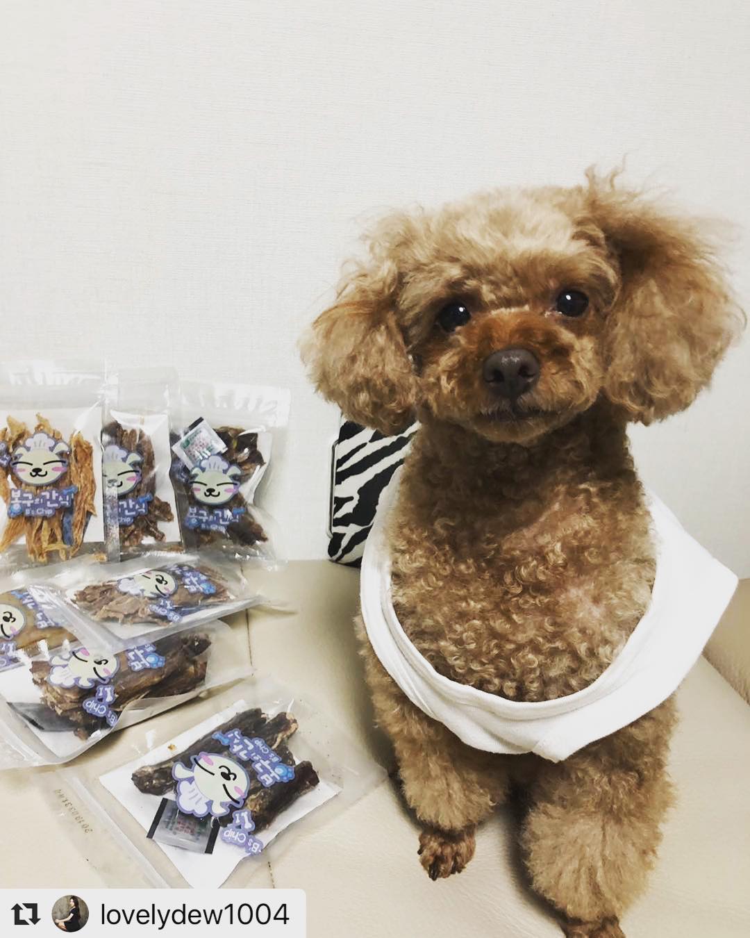 봉구의간식 강아지 반려견 애견 개껌 천연 보양식 수제간식 오리목뼈 껌 70g 이미지 6